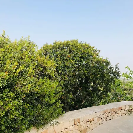 Trullo Dell'upupa