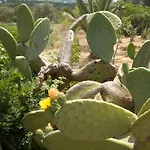 Trullo Dell'upupa Nyaraló *