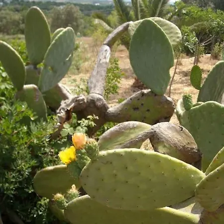 Trullo Dell'upupa Casa de Férias *