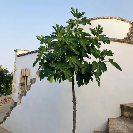 Trullo Dell'upupa