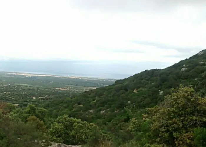 Trullo Dell'upupa Hébergement de vacances